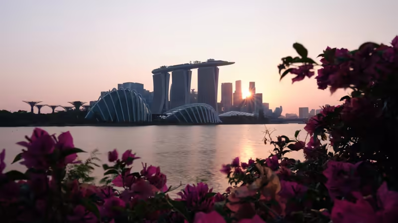 Trabzon Araklı Ozel Escort Fiyatlari