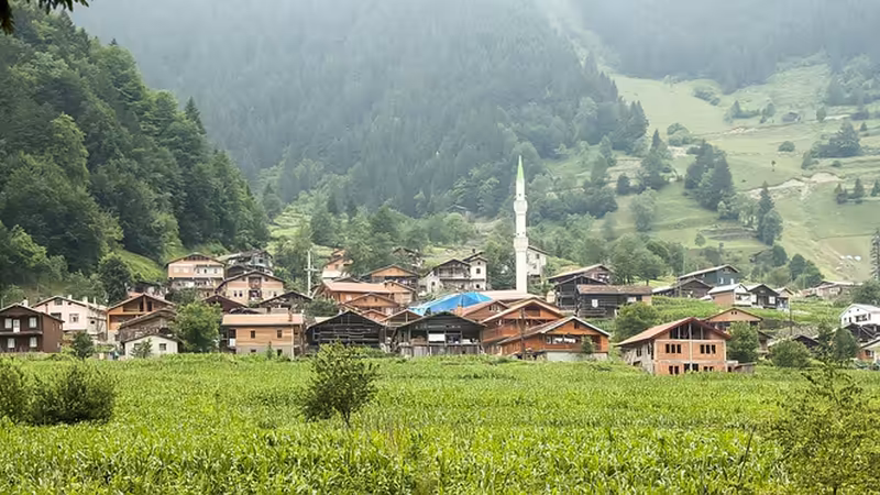 Trabzon Arsin Merkez Bayan