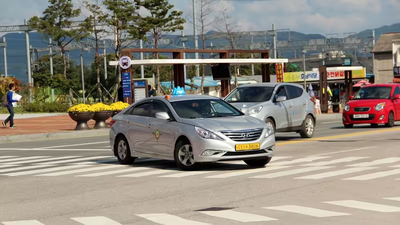 Trabzon Çarşıbaşı Luks Ilanlar