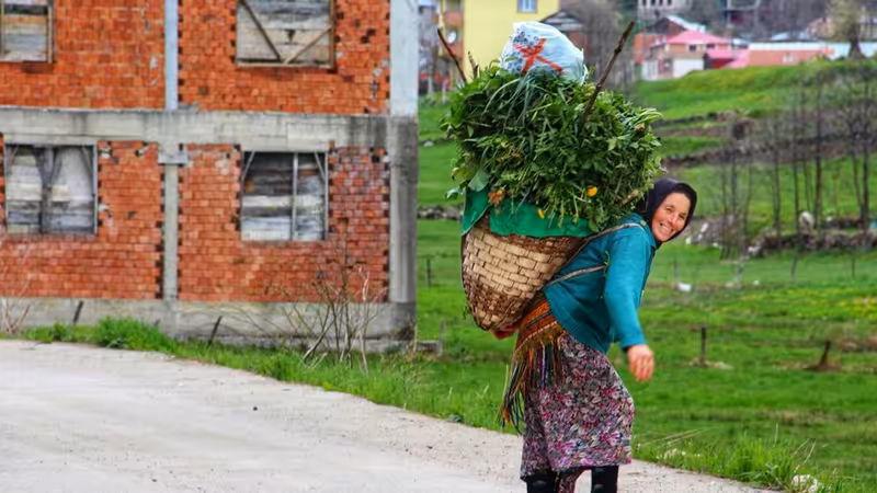 Trabzon Dernekpazarı Elden Alan Escort Profilleri