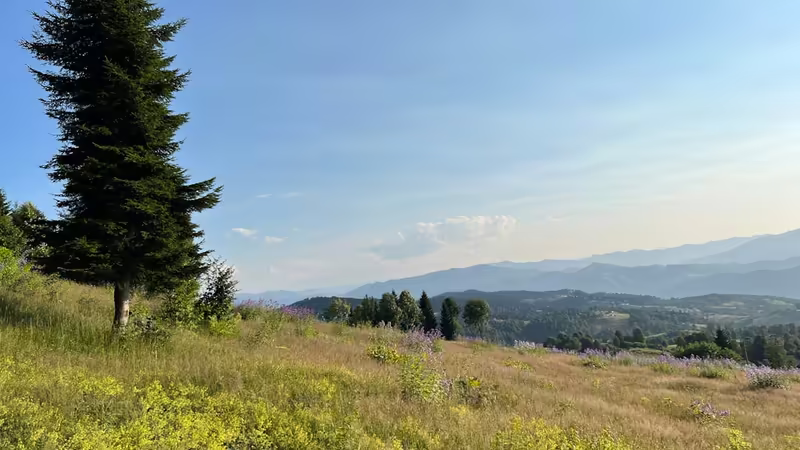 Trabzon Dernekpazarı Yarim Gun Escort Hizmeti