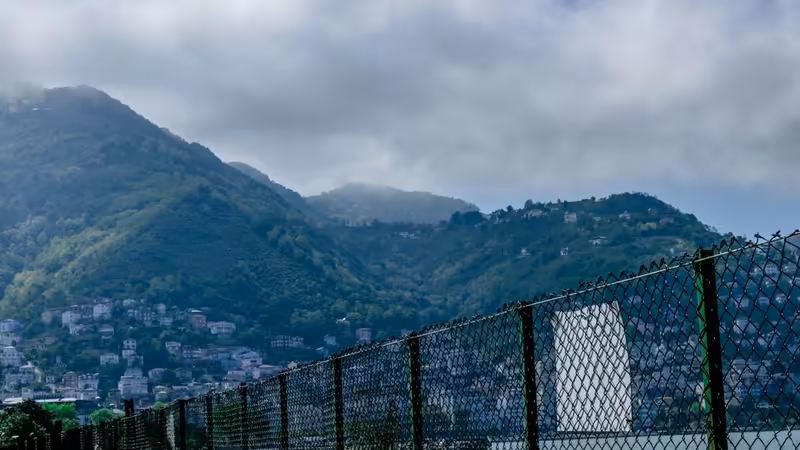 Trabzon Hayrat Kulturel Etkinlik Esligi Escort