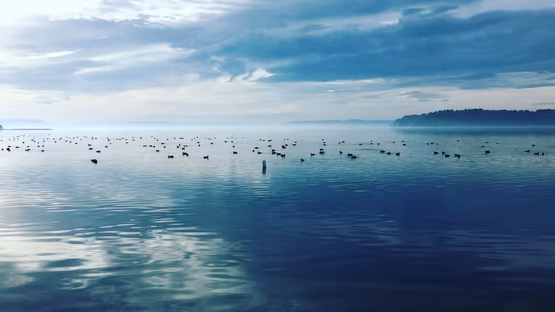 Trabzon Hayrat Dogrulanmis Bayan
