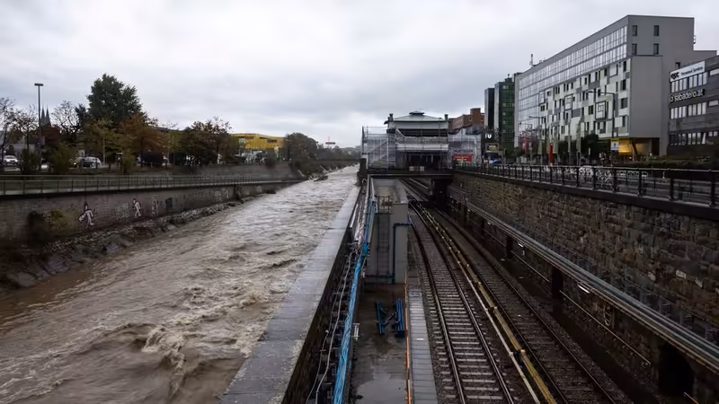 Trabzon Yeni Ilanlar