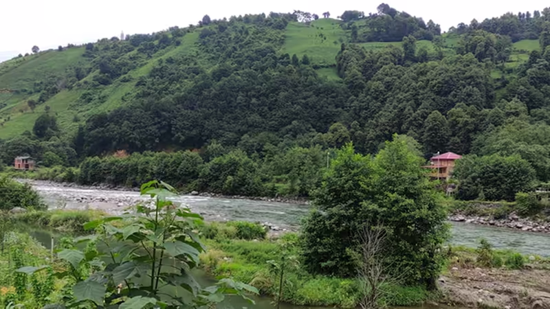 Trabzon Şalpazarı Kaliteli Bayan