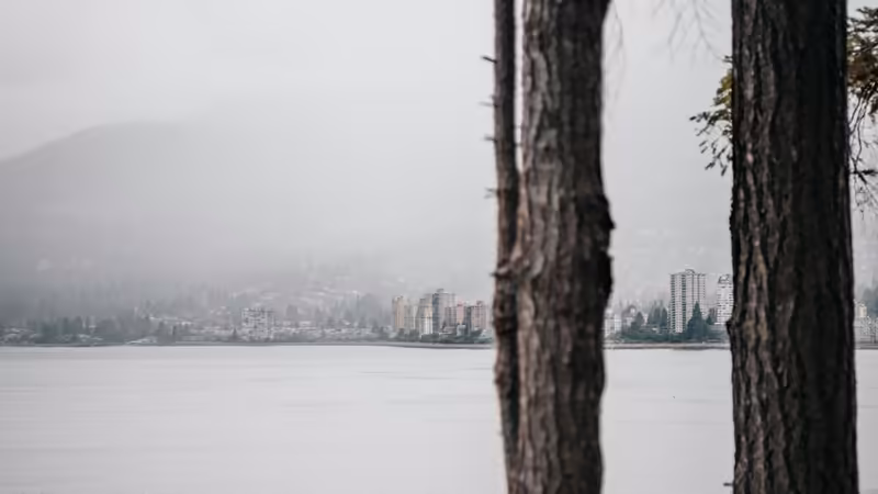 Trabzon Transferli Escort