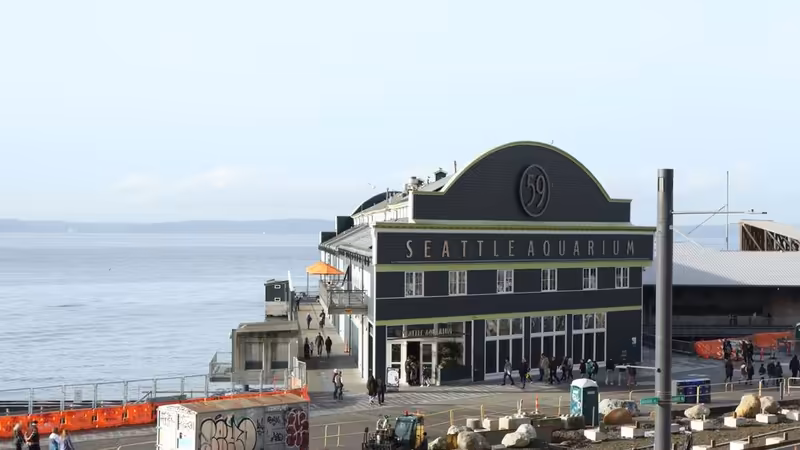 Trabzon Tonya Yakindaki Eskort