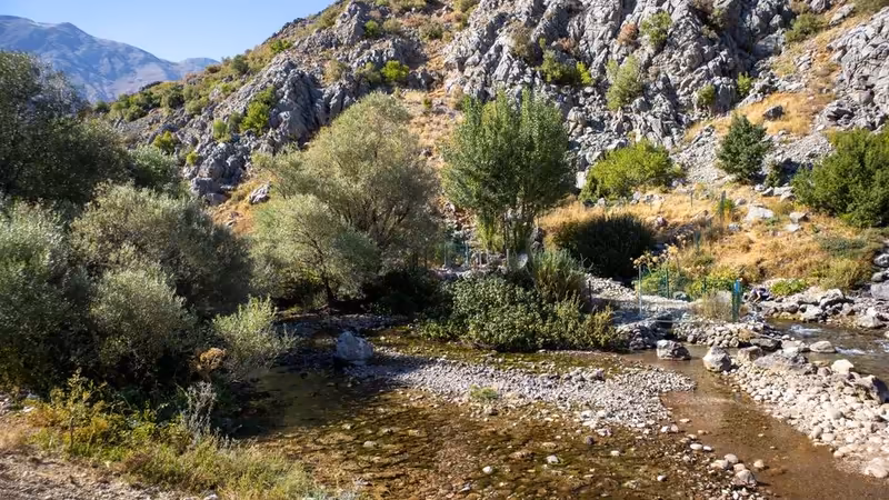 Tunceli Hozat Luks Ilanlar