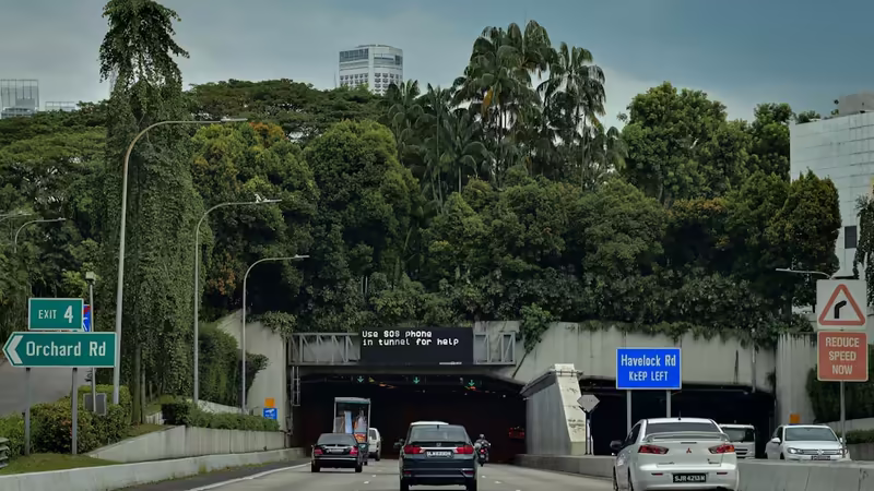 Tunceli Mazgirt Kumral Escort