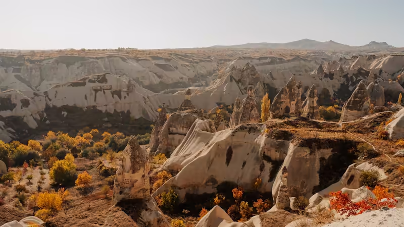 Tunceli Merkez'da Depozito, Komisyon ve Kontrat Kuralları (Kiracı Hakları)