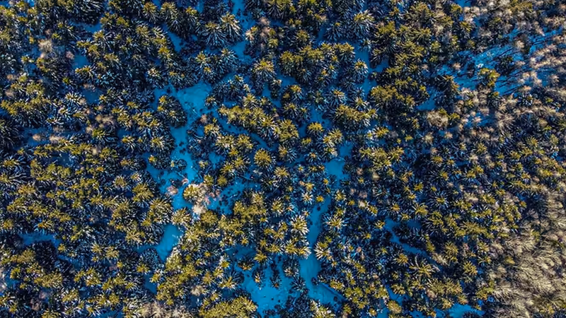 Tunceli Nazımiye Rusca Konusan Escort