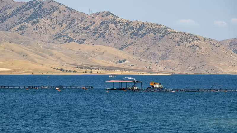 Tunceli Pertek Ogretmen Profili Escort