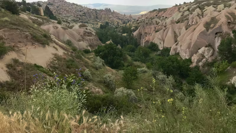 Tunceli Pülümür Guncel Bayan Bul