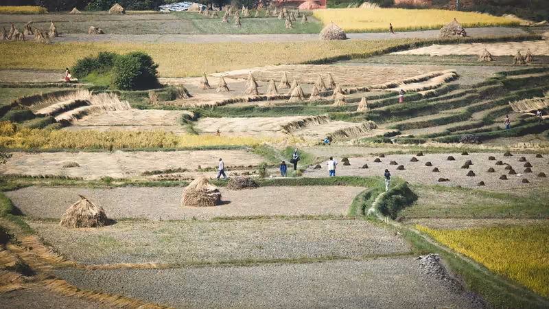 Tunceli Escortla Mesajlasirken Nelere Dikkat Etmeliyim