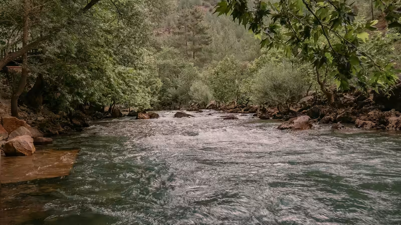 Uşak Eşme'da Uygun Fiyatlı ve Lezzetli Esnaf Lokantaları