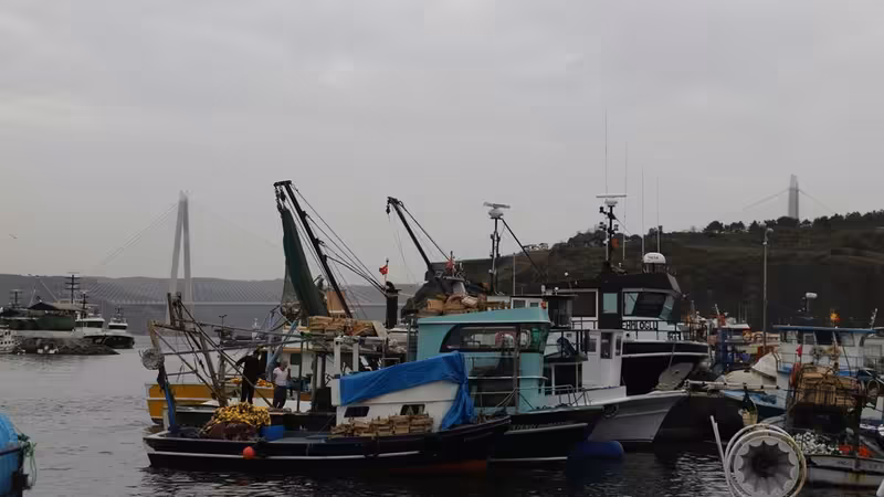 Uşak Merkez Escort Secerken Acele Karar Vermemek Neden Onemli
