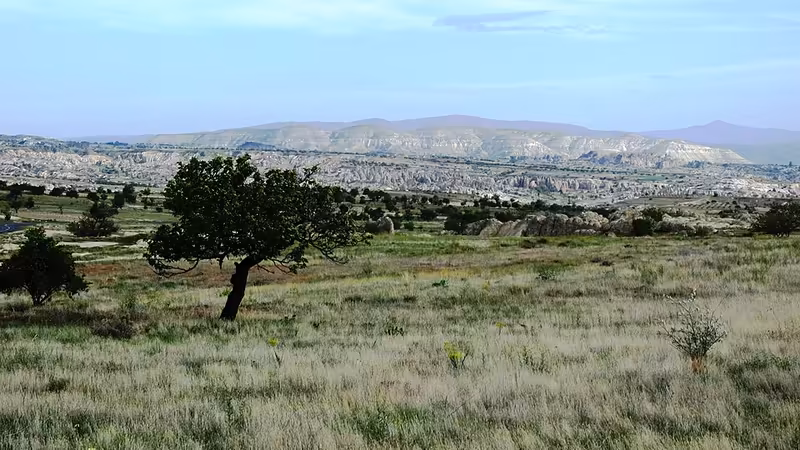 Uzunköprü'da En İyi ve Ücretsiz Turistik Aktiviteler - Edirne