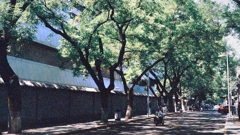 Van Gevaş Otopark Bolgeleri