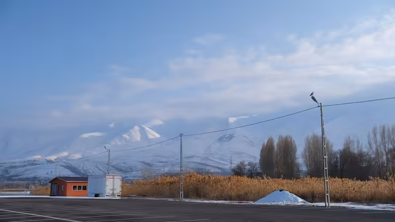 Van Gevaş Yarim Gun Escort Hizmeti