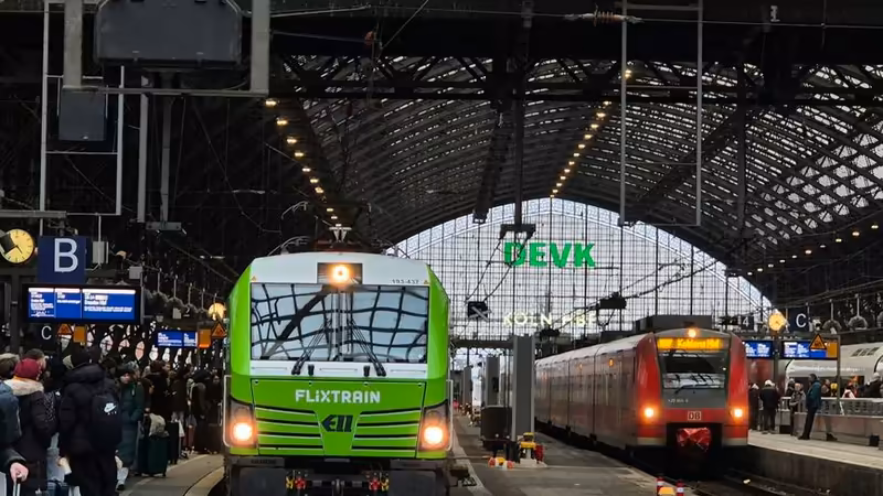 Yalova Çınarcık Aktif Ilanlar