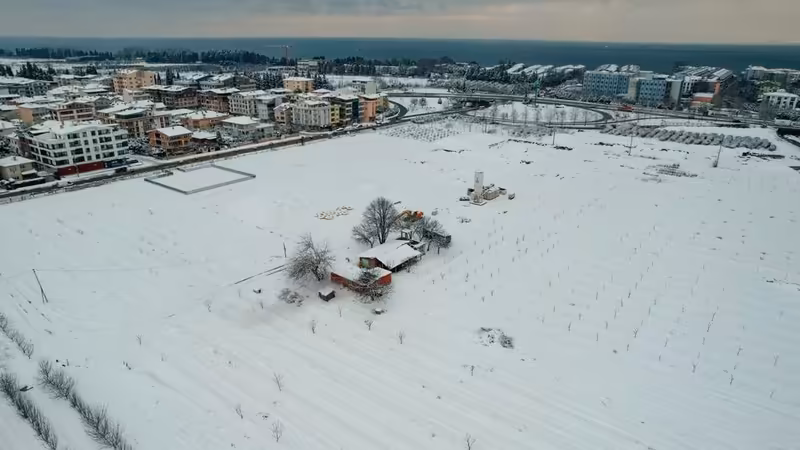 Yalova Merkez Universiteli Escort Kizlar