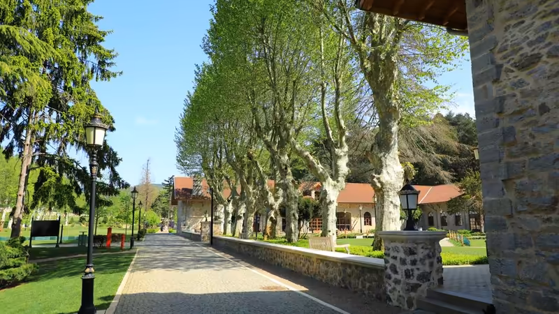 Yalova Termal Turist Bayan