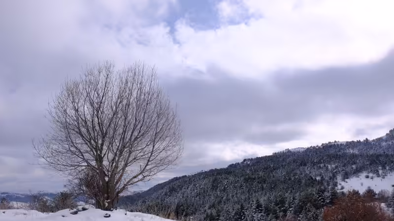 Yozgat Boğazlıyan'da En Lüks ve Ödüllü Restoranlar Rehberi