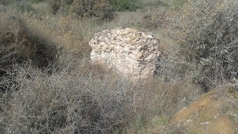 Yozgat'da Canlı Müzik Olan Mekanlar