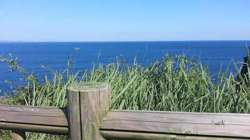 Yozgat Sarıkaya Escort Fiyatlari Neden Farklilik Gosterir