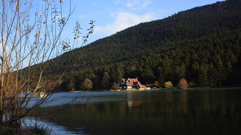 Zonguldak Alaplı'da Yılbaşı, Yeni Yıl ve Resmi Tatil Kutlamaları Nasıl Yaşanır