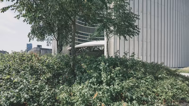 Zonguldak Çaycuma Bayan Ilanlari
