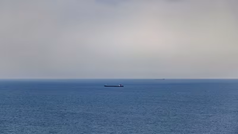 Zonguldak Kilimli Eskort Ara