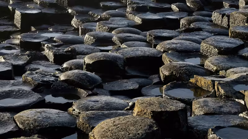 Zonguldak Kozlu Kaliteli Eskort