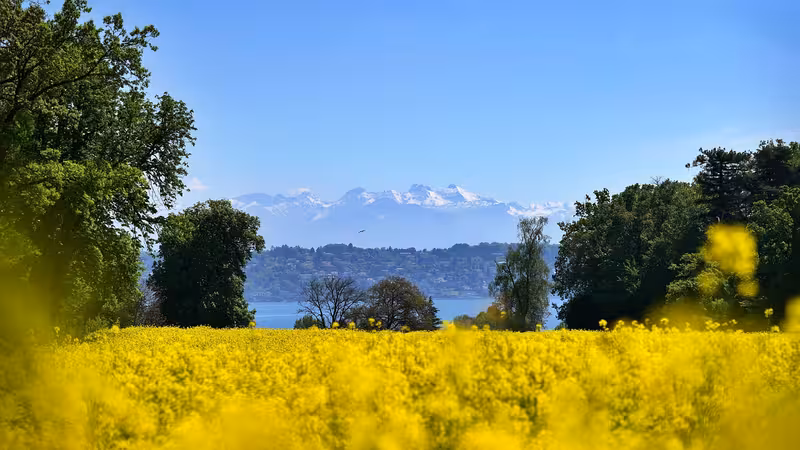 Zonguldak Guvenli Taksi ve Ulasim