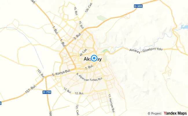 Merkez Aksaray konum haritası