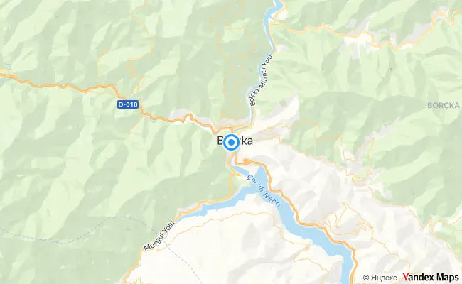 Borçka Artvin konum haritası