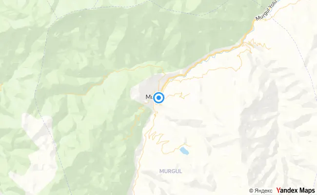 Murgul Artvin konum haritası