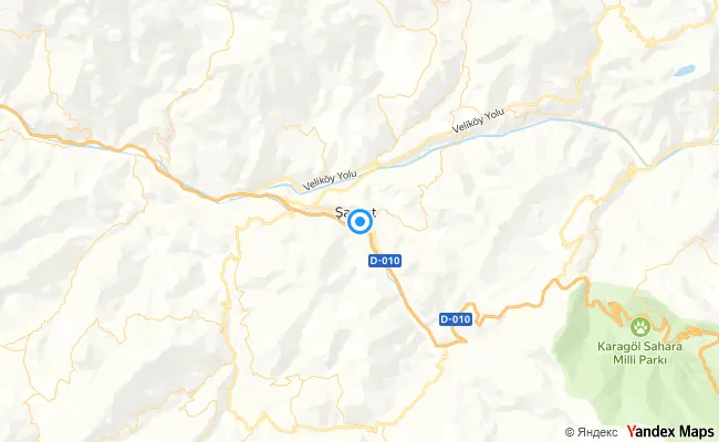 Şavşat Artvin konum haritası