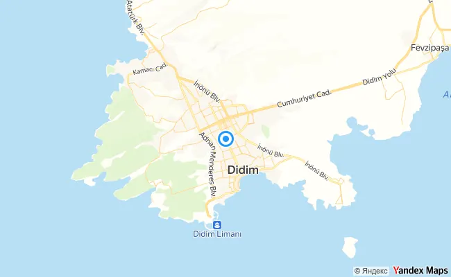 Didim Aydın konum haritası