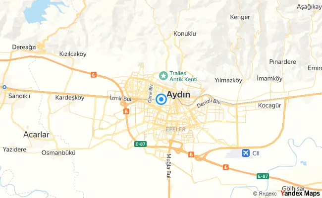 Efeler Aydın konum haritası