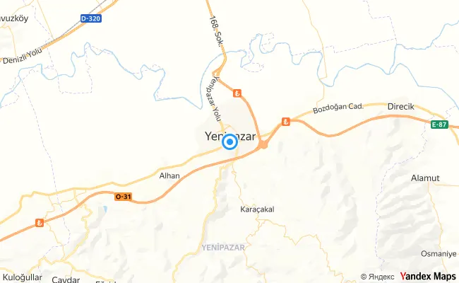 Yenipazar Aydın konum haritası
