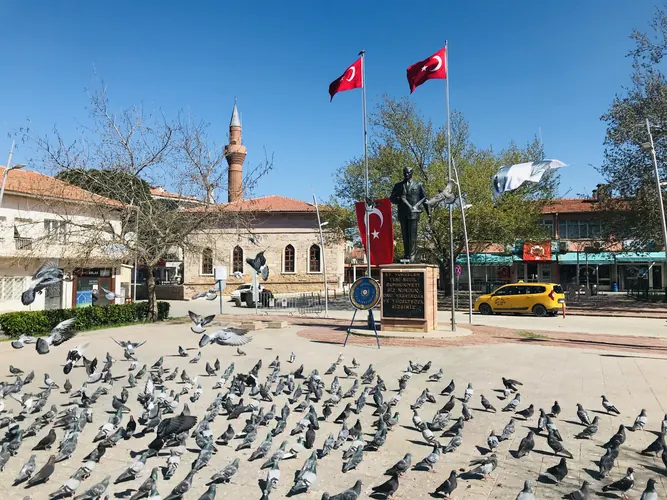 Gömeç Hakkinda Her Sey