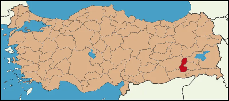 Kozluk Hakkinda Her Sey