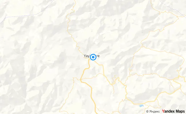 Merkez Bingöl konum haritası