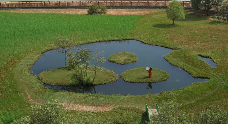 Solhan Hakkinda Her Sey