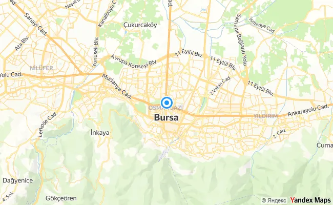 Osmangazi Bursa konum haritası