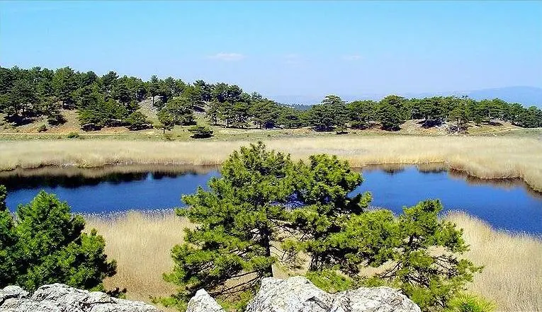 Bozkurt Rehberi - Denizli