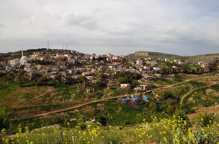Eğil Yasam ve Sosyal Ortam