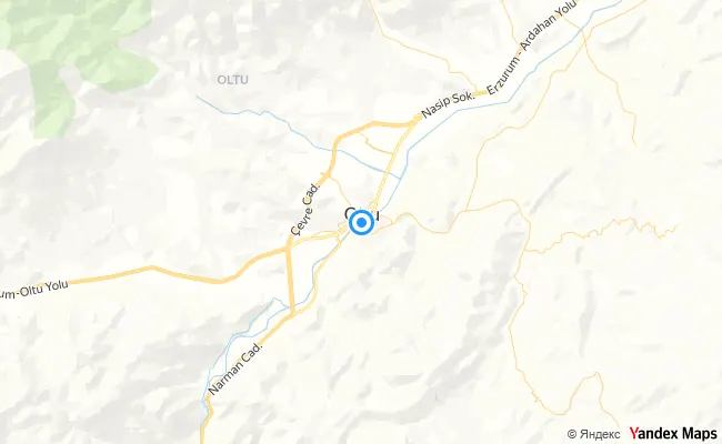 Oltu Erzurum konum haritası