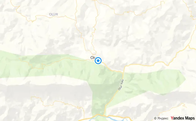 Olur Erzurum konum haritası